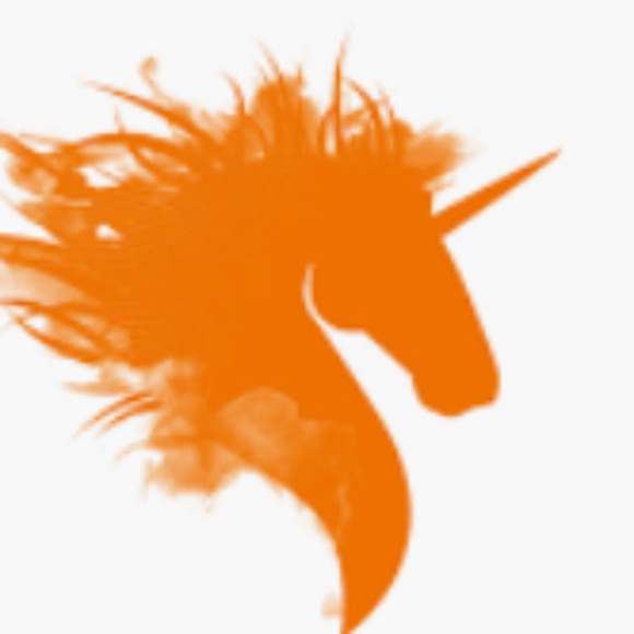 orangeunicorn9